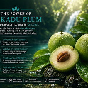 Kakadu Plum wellness infographic with Australian rainforest background showing natural vitamin C, antioxidant support, collagen support and digestive wellness benefits