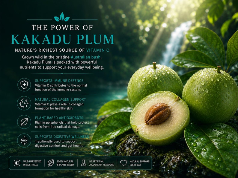 Kakadu Plum wellness infographic with Australian rainforest background showing natural vitamin C, antioxidant support, collagen support and digestive wellness benefits