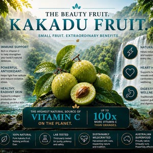 Kakadu Fruit infographic showing Australian wildcrafted superfruit benefits including high vitamin C, antioxidant support, radiant skin, immune support and digestive wellness with rainforest waterfall background