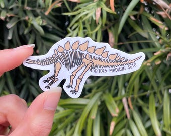 Stegosaurus Fossil - Vinyl Sticker