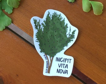 Olive Tree Incipit Vita Nova - Vinyl Sticker