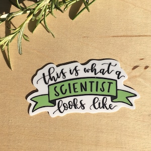 This Is What a Scientist Looks Like Vinyl Sticker image 1