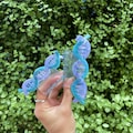 DNA - Hair Claw
