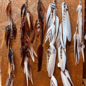 May include: A collection of feather earrings with gold-colored chains and turquoise beads. The earrings feature a variety of feathers in shades of brown, white, and tan. Some earrings have a sunburst charm. The earrings are displayed against a wooden background.