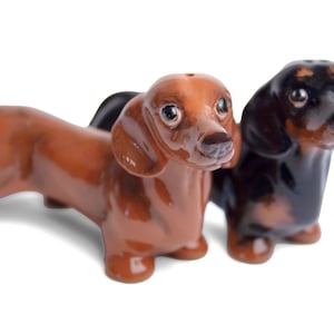 Blue Witch Dachshund Handmade Salt and Pepper Cruet Set Mini Tan And Black (6cm x 12cm) An Original Gift Idea! A Great Gift For Dog Lovers!