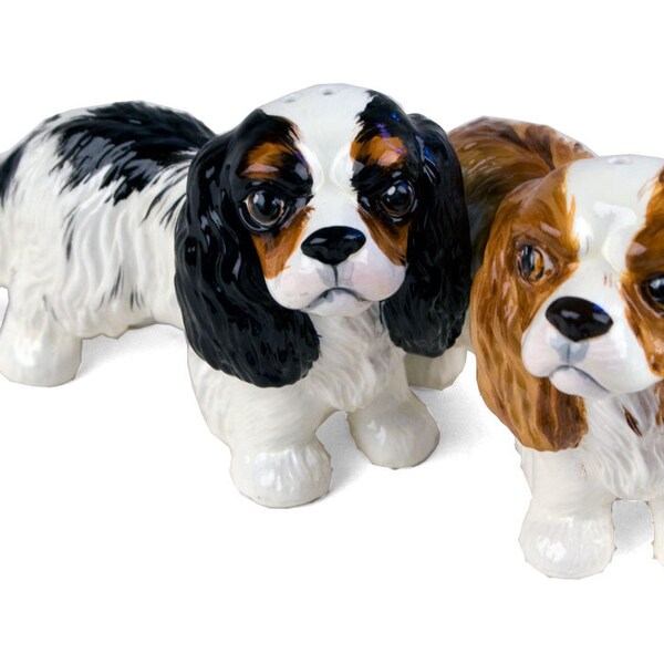 Blue Witch Cavalier King Charles Handmade Cruet Set Mini Black And Tan (6cm x 9cm) An Original Gift Idea! A Great Gift For Dog Lovers!