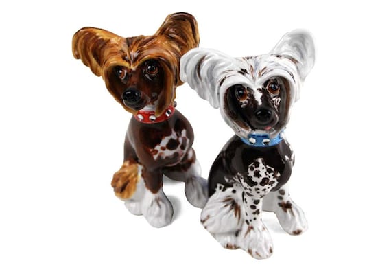 Blue chinese crested sales