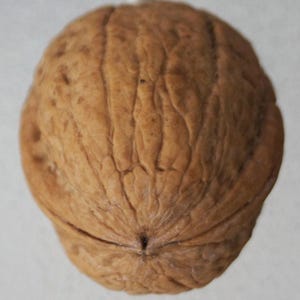 May include: Close-up of a whole walnut, showcasing its textured, brown shell. The nut's surface is intricately ridged and furrowed, with a natural, organic appearance. The image highlights the walnut's shape and detail.