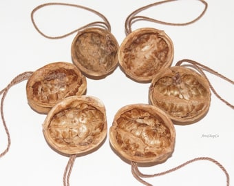 6 Walnut Shell Halves with Strings, DIY Projects Natural Arts & Crafts Supply Handmade Gifts Small Ornaments 100% Natural DIY Crafting Parts