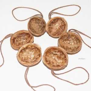 May include: Six walnut shell ornaments arranged in a circle, each with a brown string loop. The shells are a light brown color, with a textured interior. The background is white.