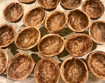Walnut Shell Halves 1.5” - 1.6” inch Natural Arts & Crafts Supply, Walnut Shells for Ornaments, Unique DIY Gifts, Decorations, Home Accents