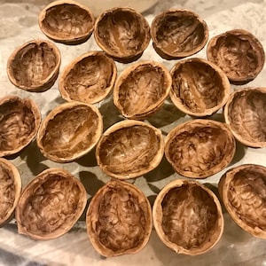 May include: A collection of empty walnut shells, arranged in a scattered pattern. The shells are a light brown color, with a textured interior. The image is taken from a top-down perspective, showcasing the natural details of the shells.