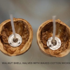 Peut inclure: Deux moiti&eacute;s de coquilles de noix avec des m&egrave;ches en coton cir&eacute;, pr&ecirc;tes pour la fabrication de bougies. Les coquilles sont marron et les m&egrave;ches sont blanches. Le texte en bas indique : WALNUT SHELL HALVES WITH WAXED COTTON WICKS.