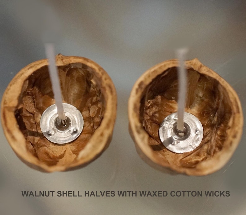Peut inclure: Deux moiti&eacute;s de coquilles de noix avec des m&egrave;ches en coton cir&eacute;, pr&ecirc;tes pour la fabrication de bougies. Les coquilles sont marron et les m&egrave;ches sont blanches. Le texte en bas indique : WALNUT SHELL HALVES WITH WAXED COTTON WICKS.