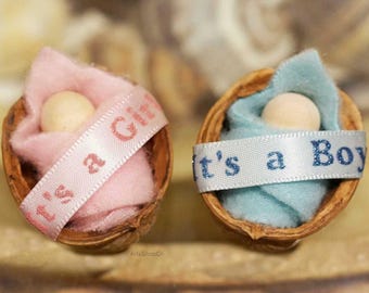 Baby in Natural Walnut Shell, Baby Girl & Baby Boy in Blanket, Unique It's a Girl, It's a Boy, Gender Reveal, Miniature Baby Souvenir Gifts