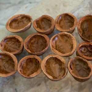 Mitades de cáscara de nuez de 3 a 35 cm (1,2 a 1,4 pulgadas). Piezas decorativas naturales para regalos, proyectos, manualidades y adornos hechos a mano. imagen 4