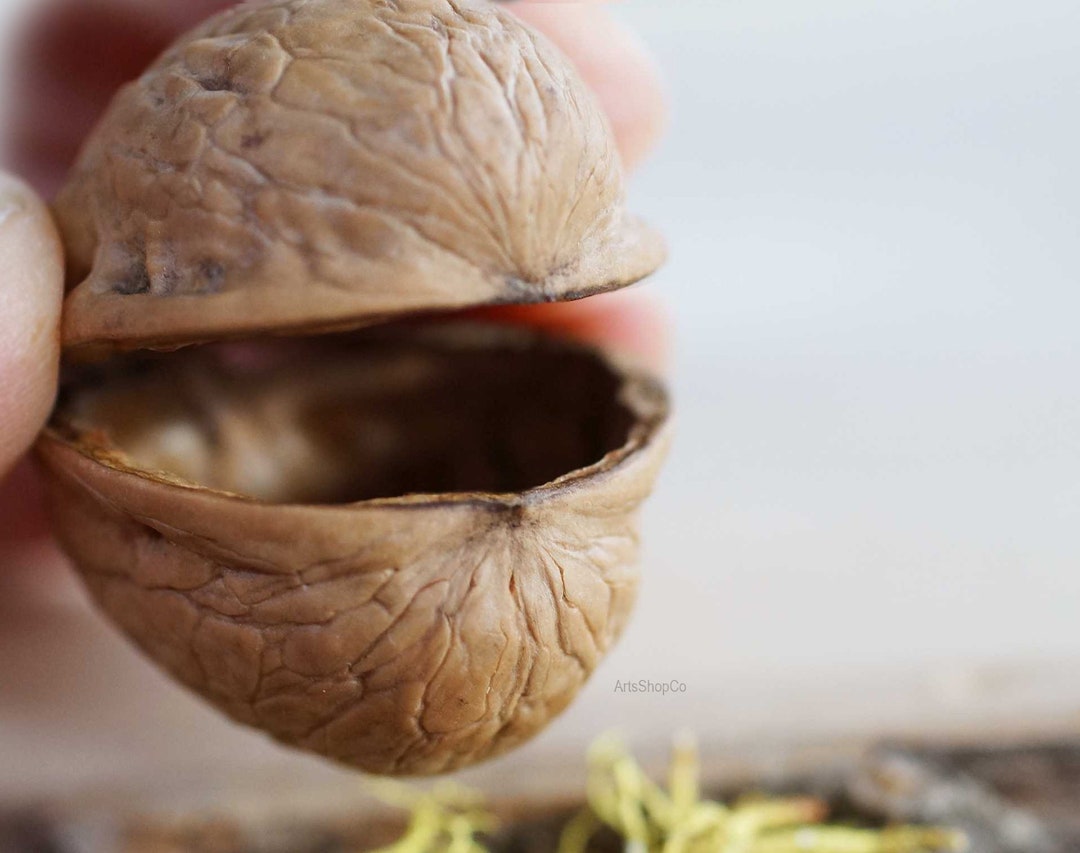 Natural Walnut Shells for Boxes Empty Walnut Shell Halves in Pairs Unique  Gifts Ornaments DIY Projects Arts & Craft Supply Natural Mini Box - Etsy