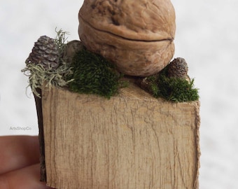 Wooden Cake Slice with Natural Walnut Shell Jewelry Box on Top, Moss, Pinecones and Stones Decorated Nature Inspired Unique Birthday Gift