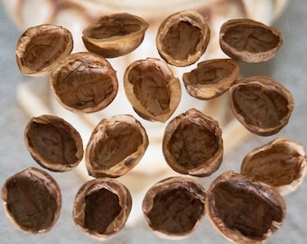 Imperfectly Opened Natural Walnut Shell Halves for Arts and Crafts, Home Decorations & Seasonal Accents, Mixed Sizes Chipped Walnut Shells