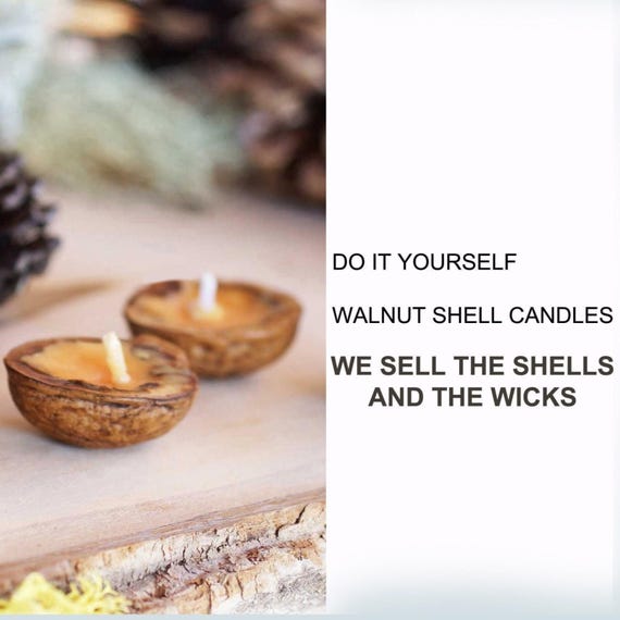 Natural Walnut Shell Halves for Walnut Shell Candles, Arts & Crafts Supplies, DIY Projects, Unique Handmade Small Gifts and Holiday Accents