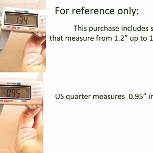 Puede incluir: Primer plano de un calibrador digital que mide una concha a 3,4 cm. Un cuarto de d&oacute;lar estadounidense mide 2,4 cm. El texto indica que las conchas miden de 3,0 cm a 3,6 cm de largo.