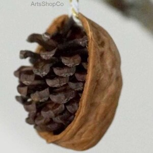 May include: A handmade ornament featuring a small pinecone nestled inside a walnut shell. The pinecone is dark brown, and the walnut shell is a lighter shade of brown. The ornament is suspended by a thin, gold-colored string. The text "ArtsShopCo" is visible in the upper left corner.