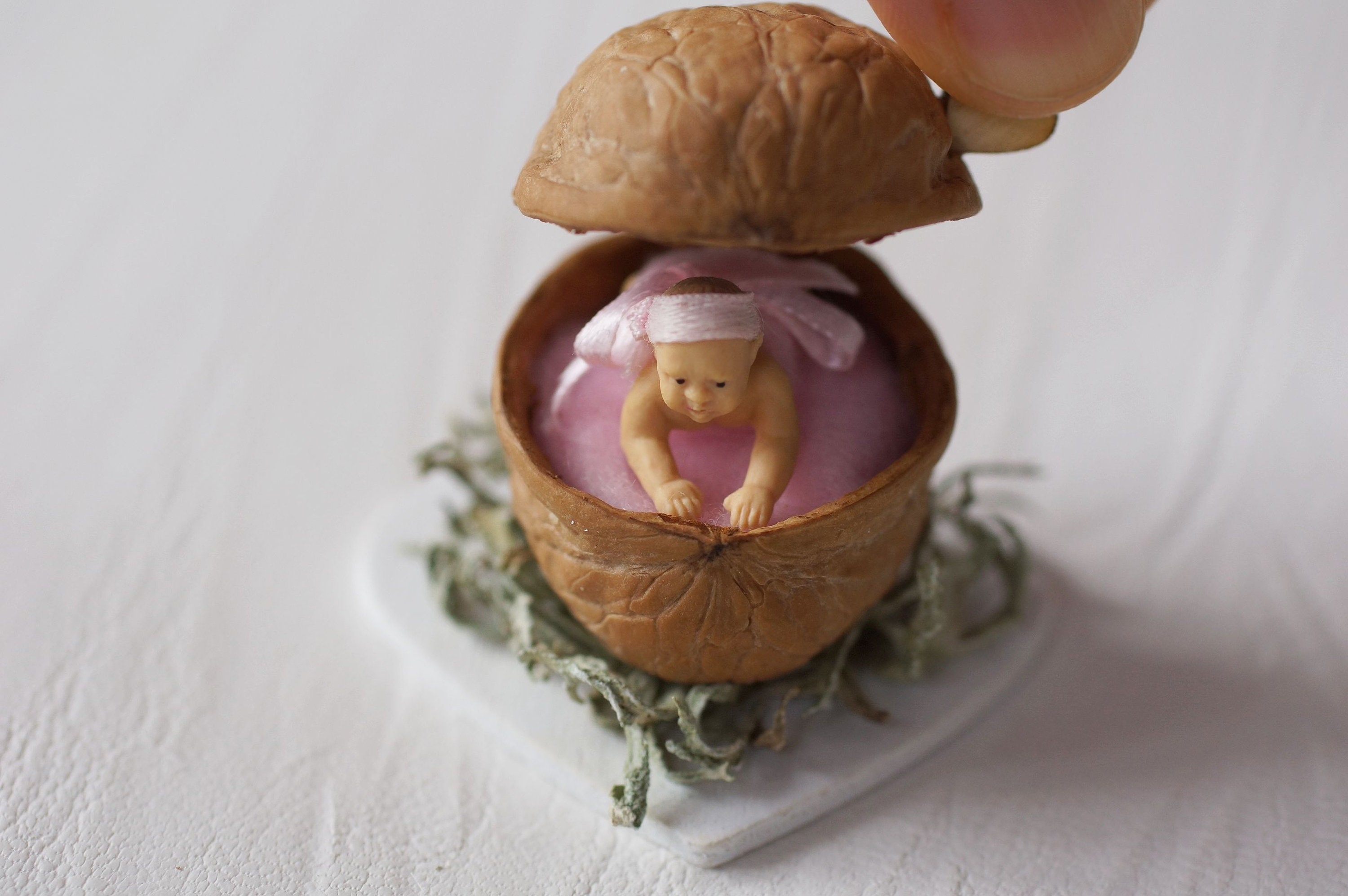 Baby in Natural Walnut Shell Box Baby Girl Baby Boy Etsy