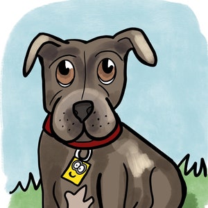 Pet Portrait