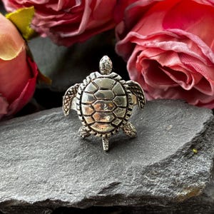 May include: A silver-toned ring featuring a detailed turtle design on the face. The turtle has a textured shell with visible segments, four flippers, and a small head. The metal has a polished finish with darkened recessed areas for contrast.