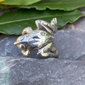 May include: A silver-colored frog ring. The ring features a detailed frog design with textured skin and large eyes. The frog is positioned with its head up, and the ring band is visible at the bottom. The ring is set on a gray stone surface.