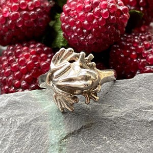 May include: A silver frog ring with detailed features. The ring is set against a backdrop of red berries on a gray stone surface. The frog is the focal point, showcasing its textured skin and outstretched limbs.