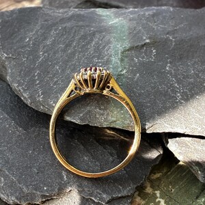 Pode incluir: Um anel de ouro com uma pedra preciosa vermelha escura central rodeada por um halo de pequenas pedras claras. A crava&ccedil;&atilde;o &eacute; elevada com uma galeria de garras e a banda &eacute; de metal dourado liso e polido, visto de perfil lateral.