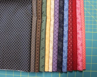 13 PAULA BARNES COMPANIONS キルト生地 ファットクォーター (18x22インチ) Marcus Fabrics