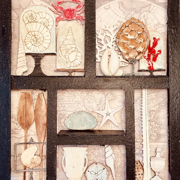 Mixed media curiosity cabinet. mini marine shell collection drawer craft. diy chipboard sea treasures curiosity pieces. mystery box shelf