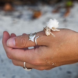 May include: A hand with three silver rings, one with a star design, and a small hermit crab with a white shell. The hand is resting on a sandy surface, with a blurred background of the beach.