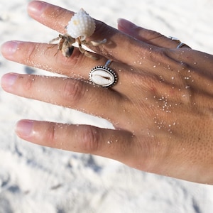 May include: A hand adorned with two silver rings and a small hermit crab with a white shell. One ring features a white shell set in a silver band. The background is a sandy beach.