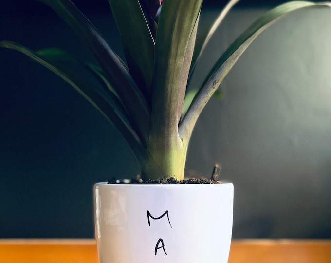 Flower pot for mom, mother