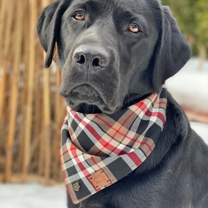 Dog Scarf Check Blue