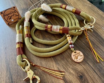 Tauset “Beautiful dog collar, leash,
