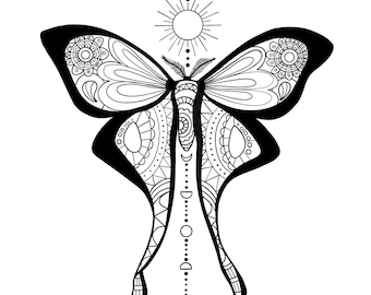 Moth coloring page