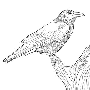 Raven coloring page