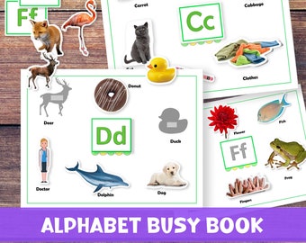 Libro interactivo personalizado con el alfabeto para niños pequeños. Carpeta de actividades para aprender el abecedario. Currículo preescolar. Hojas de trabajo para niños de 2 a 3 años.