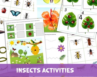 Insects Preschool Busy Book Binder, Bug Unit Study Activity Pack, Spring Science for Toddlers, Pre-K Counting, Montessori Creepy Crawlies