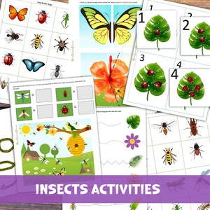 Insects Preschool Printable Worksheets. Nature Learning Activities for Toddlers. Love Bugs. Preschool Curriculum. Montessori materials