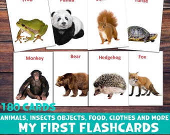 Meus primeiros flashcards Imagens reais Flashcards imprimíveis para crianças pequenas. Flashcards Montessori. Cartões flash pré-escolares imprimíveis para bebês aprendendo
