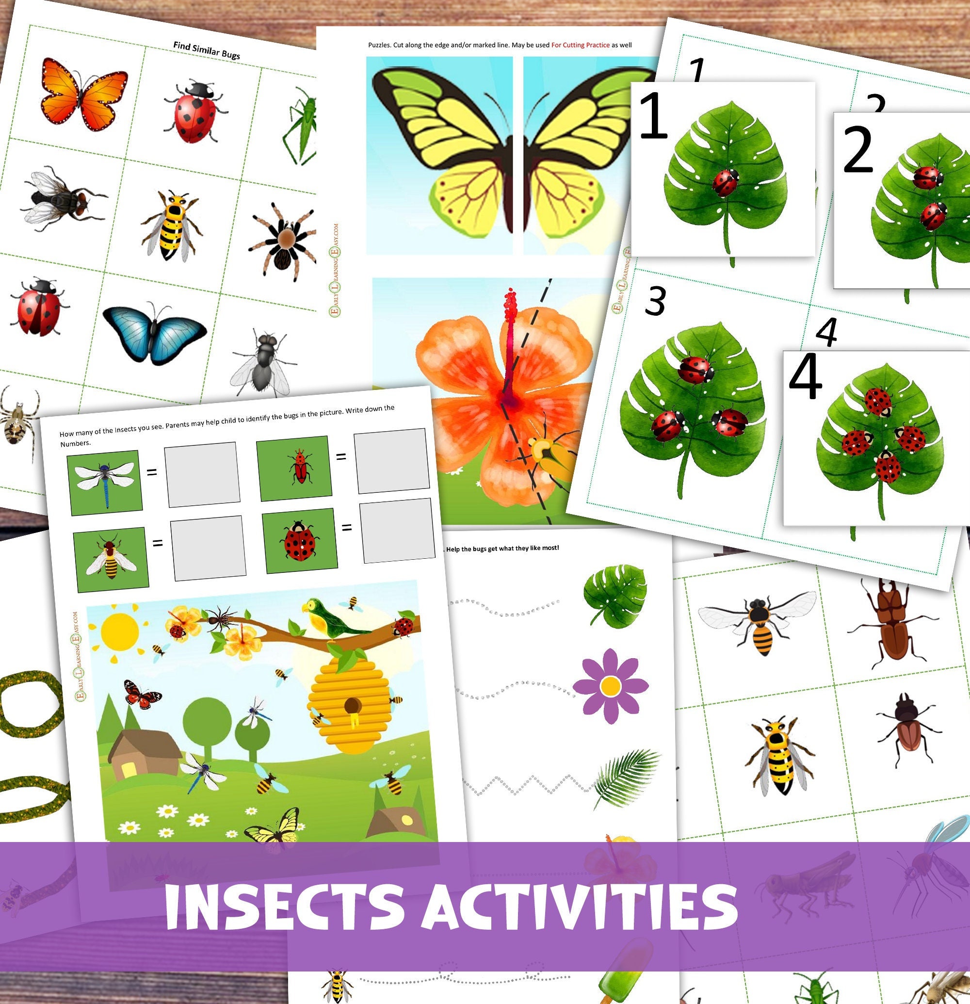 Insects Preschool Printable Worksheets. Nature Learning Activities for