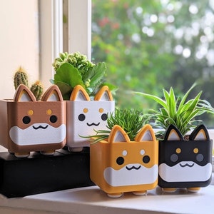 Corgi chia best sale pet