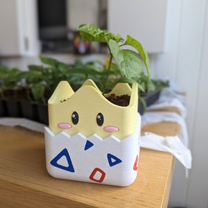 Vaso Togepi - suculenta para planta de interior chibi