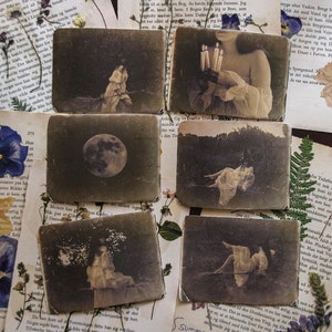 SORCIÈRE VINTAGE DES ANNÉES 1920 | Cartes photo - décoration d'Halloween, cartes d'HalloweenTaille de portefeuille, sorcière, mignonne, fantaisiste, automne, effrayant, cottagecore