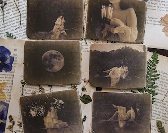 1920s VINTAGE WITCH Photo Cards: Halloween Decor, Wallet Size
